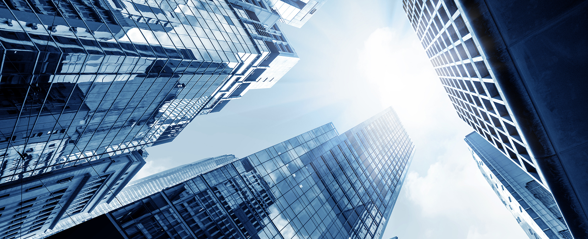 1700637599949.jpg banner.jpg